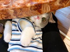 -广记餐厅(万福路店)