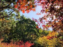 -青岛崂山太清宫