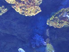 -福州罗源湾海洋世界旅游区