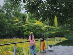 -昆山城市生态森林公园