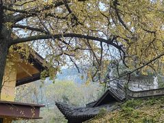 -洪霞餐馆