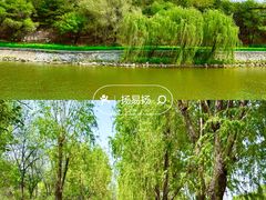 -北京张裕爱斐堡酒庄