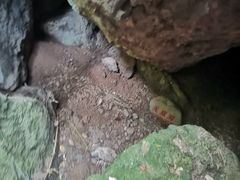 -绍兴汤江岩风景区