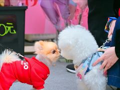 -瑞虹新天地月亮湾