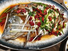 -崂山水果园农家宴(泉水鸡店)