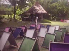 -大象粑粑造纸公园