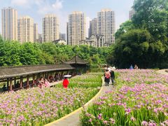 -龙头寺公园