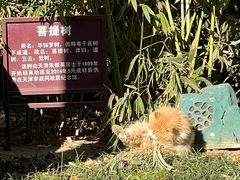-李叔同故居纪念馆