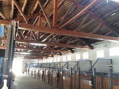 -北京群众马术培训基地