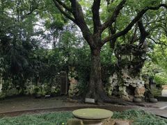 -绍兴鲁迅故里·沈园景区