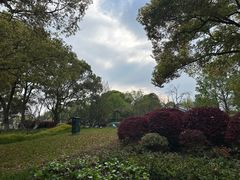 -金鸡湖游船(月光码头)