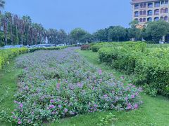 -厦门帝元维多利亚大酒店(环岛路黄厝海滩店)