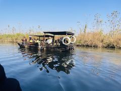 -池杉湖湿地公园