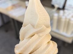 -广州素食学校·素猫豆腐(长洲码头店)