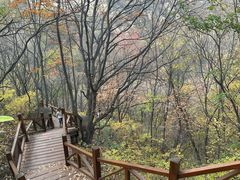 -大岭沟猕猴桃谷风景区