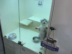 -十年猫舍·猫咪专门店(普陀店)