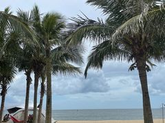 -玫瑰海岸文化旅游度假区