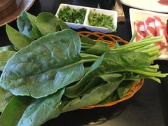 菠菜-情忆草原涮肉馆