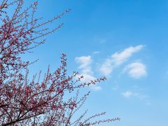 -院士公园