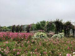 -尚贤河湿地
