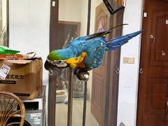 -观桥阁(锦溪店)