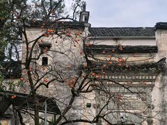 -塔川景区