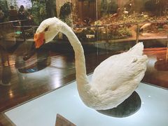 -陕西自然博物馆