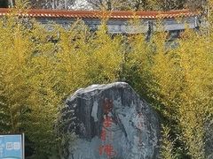 -崇圣寺三塔文化旅游区