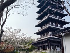 -宜兴龙背山森林公园