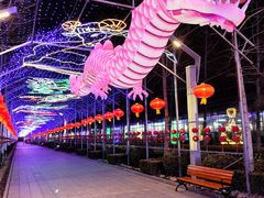 -南宫五洲植物乐园