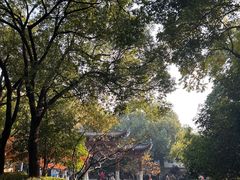 -杭州半山国家森林公园