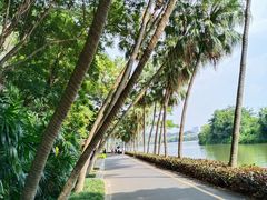 -星湖旅游景区七星岩