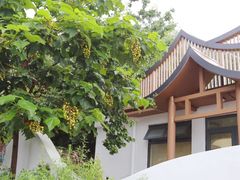 -崂山仰口游览区