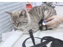-瑞派·关忠动物医院(国瑞店)