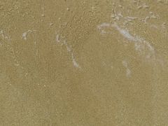 -白沙湾海滩