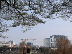 -南宁南湖公园