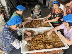 -苏州市吴中区光福窑上花果蜜饯厂