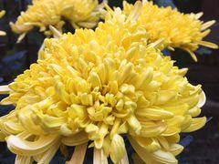 -南宫温泉水世界