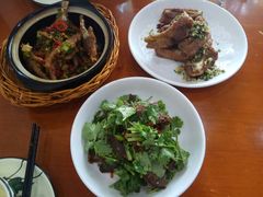 -全乐鱼馆·淳牌有机鱼直营店