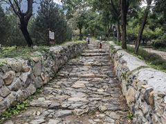 -阳台山自然风景区