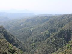 -蜀南竹海景区