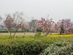 -汇泉广场