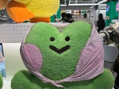 -line friends(明洞旗舰店)