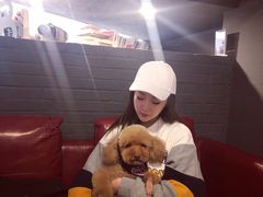 -百好乐宠物友好餐厅(朝外大街店)