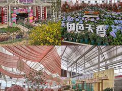-盈香心动乐园