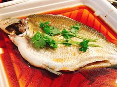 鲳鱼-盒马鲜生(宝地店)