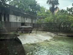 -成都动物园