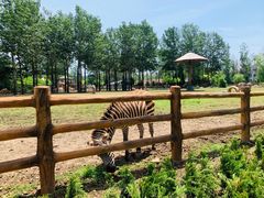 -大连森林动物园