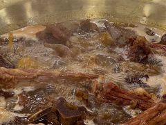 -芦月轩羊蝎子(北蜂窝店)