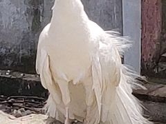 -南京金牛湖风景区